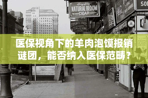 医保视角下的羊肉泡馍报销谜团，能否纳入医保范畴？