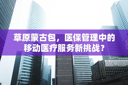 草原蒙古包，医保管理中的移动医疗服务新挑战？
