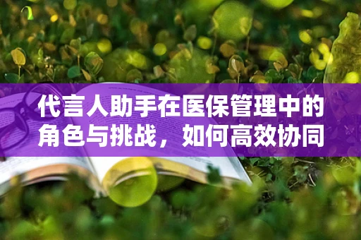 代言人助手在医保管理中的角色与挑战，如何高效协同提升服务效率？