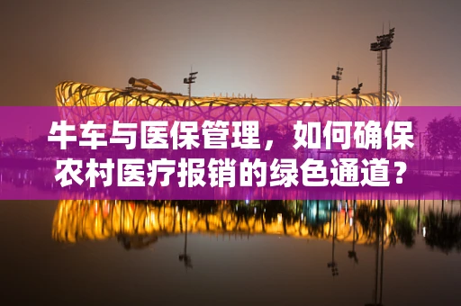 牛车与医保管理，如何确保农村医疗报销的绿色通道？