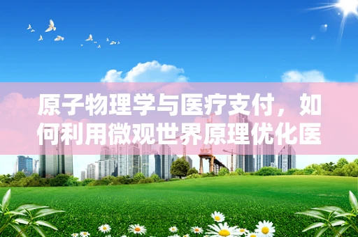 原子物理学与医疗支付，如何利用微观世界原理优化医保管理？
