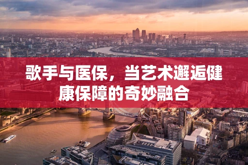 歌手与医保，当艺术邂逅健康保障的奇妙融合