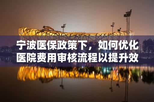 宁波医保政策下，如何优化医院费用审核流程以提升效率？