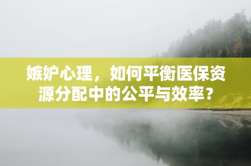 嫉妒心理，如何平衡医保资源分配中的公平与效率？