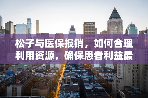 松子与医保报销，如何合理利用资源，确保患者利益最大化？