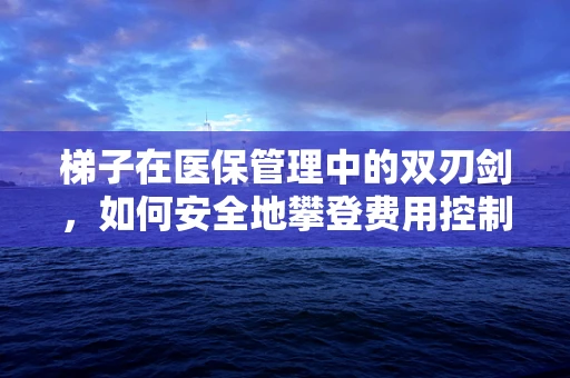 梯子在医保管理中的双刃剑，如何安全地攀登费用控制高峰？