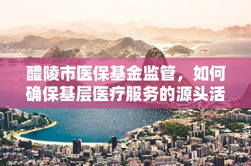 醴陵市医保基金监管，如何确保基层医疗服务的源头活水？