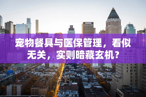 宠物餐具与医保管理，看似无关，实则暗藏玄机？