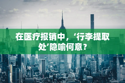 在医疗报销中，‘行李提取处’隐喻何意？