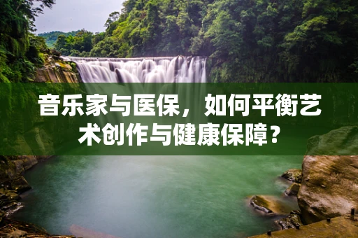 音乐家与医保，如何平衡艺术创作与健康保障？