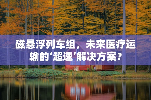磁悬浮列车组，未来医疗运输的‘超速’解决方案？