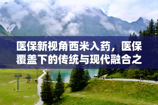 医保新视角西米入药，医保覆盖下的传统与现代融合之问？