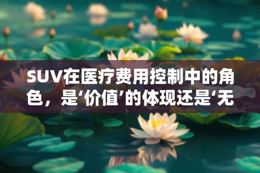 SUV在医疗费用控制中的角色，是‘价值’的体现还是‘无谓’的支出？