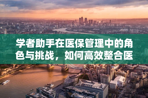 学者助手在医保管理中的角色与挑战，如何高效整合医疗数据？