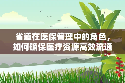 省道在医保管理中的角色，如何确保医疗资源高效流通？