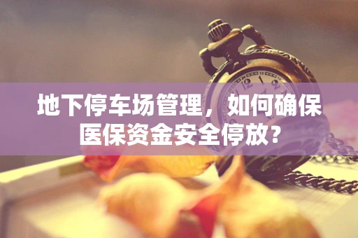 地下停车场管理，如何确保医保资金安全停放？