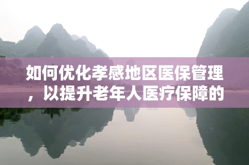 如何优化孝感地区医保管理，以提升老年人医疗保障的精准度？