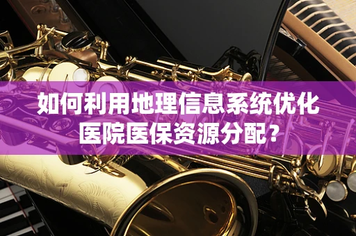 如何利用地理信息系统优化医院医保资源分配？