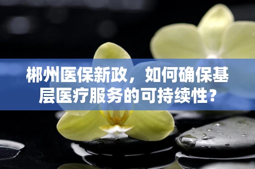 郴州医保新政，如何确保基层医疗服务的可持续性？