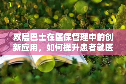 双层巴士在医保管理中的创新应用，如何提升患者就医体验？