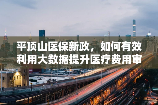 平顶山医保新政，如何有效利用大数据提升医疗费用审核效率？