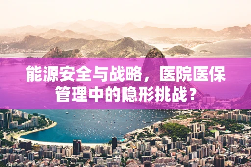 能源安全与战略，医院医保管理中的隐形挑战？