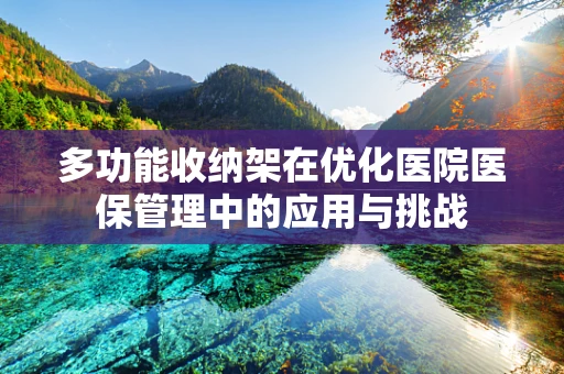 多功能收纳架在优化医院医保管理中的应用与挑战