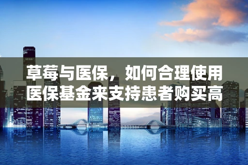 草莓与医保，如何合理使用医保基金来支持患者购买高昂的草莓果酱？