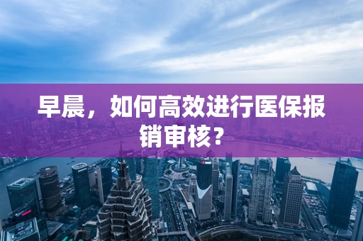 早晨，如何高效进行医保报销审核？