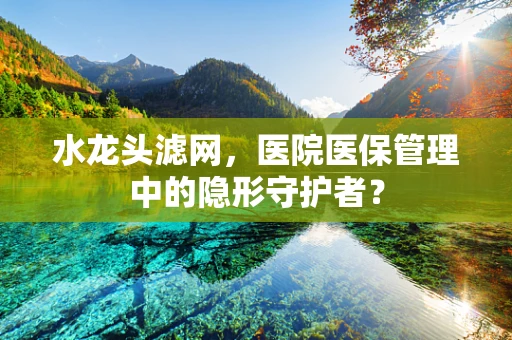 水龙头滤网，医院医保管理中的隐形守护者？