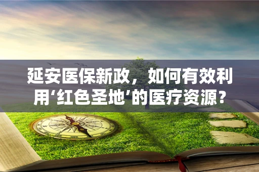 延安医保新政，如何有效利用‘红色圣地’的医疗资源？