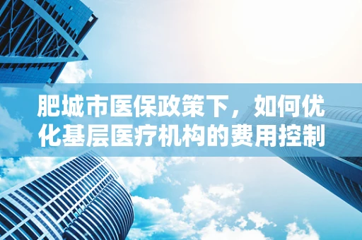 肥城市医保政策下，如何优化基层医疗机构的费用控制？