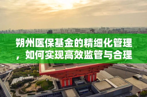 朔州医保基金的精细化管理，如何实现高效监管与合理使用？