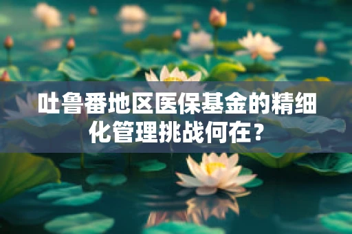 吐鲁番地区医保基金的精细化管理挑战何在？