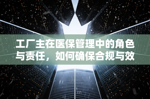 工厂主在医保管理中的角色与责任，如何确保合规与效率的平衡？