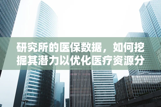 研究所的医保数据，如何挖掘其潜力以优化医疗资源分配？