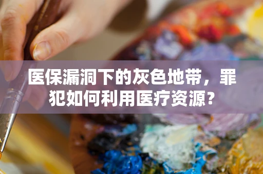 医保漏洞下的灰色地带，罪犯如何利用医疗资源？