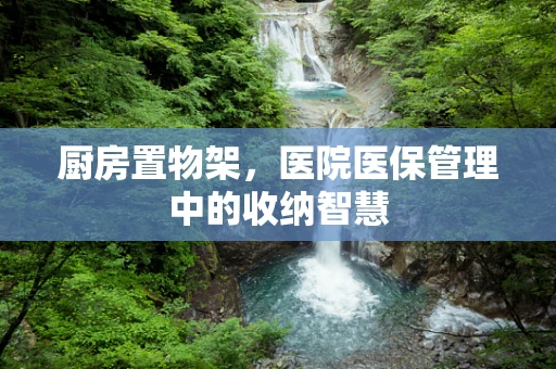 厨房置物架，医院医保管理中的收纳智慧