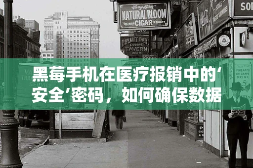 黑莓手机在医疗报销中的‘安全’密码，如何确保数据加密的万无一失？