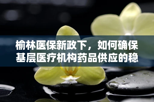榆林医保新政下，如何确保基层医疗机构药品供应的稳定与质量？