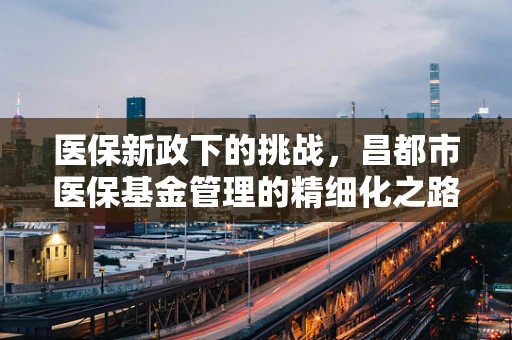 医保新政下的挑战，昌都市医保基金管理的精细化之路