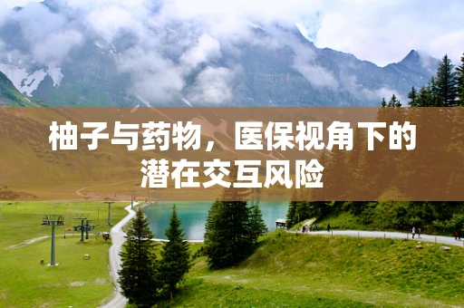 柚子与药物，医保视角下的潜在交互风险