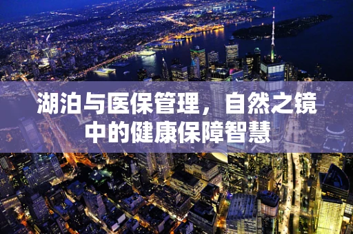 湖泊与医保管理，自然之镜中的健康保障智慧