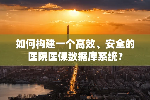 如何构建一个高效、安全的医院医保数据库系统？