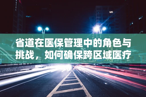 省道在医保管理中的角色与挑战，如何确保跨区域医疗服务的顺畅？