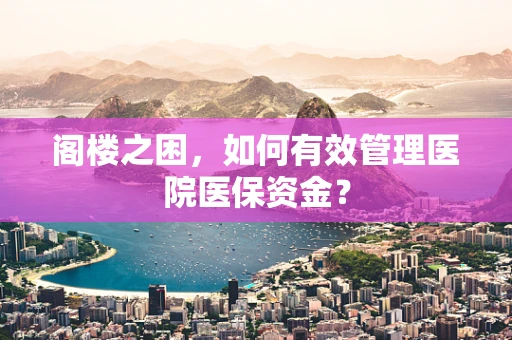阁楼之困，如何有效管理医院医保资金？