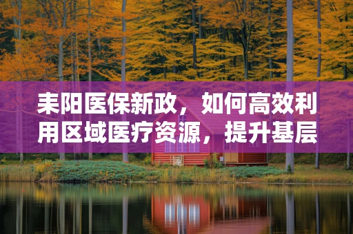 耒阳医保新政，如何高效利用区域医疗资源，提升基层医疗服务质量？
