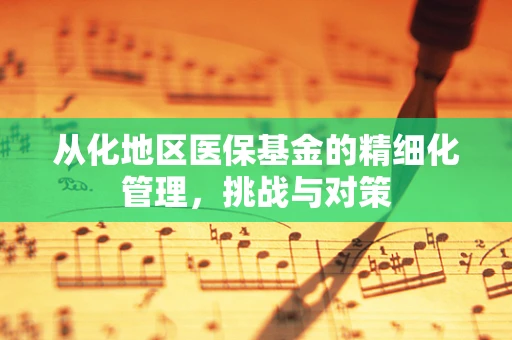 从化地区医保基金的精细化管理，挑战与对策