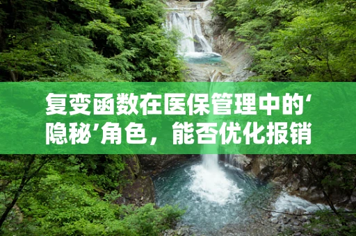复变函数在医保管理中的‘隐秘’角色，能否优化报销流程的数学奇术？