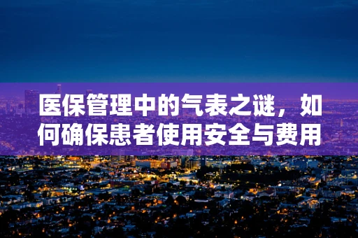 医保管理中的气表之谜，如何确保患者使用安全与费用透明？